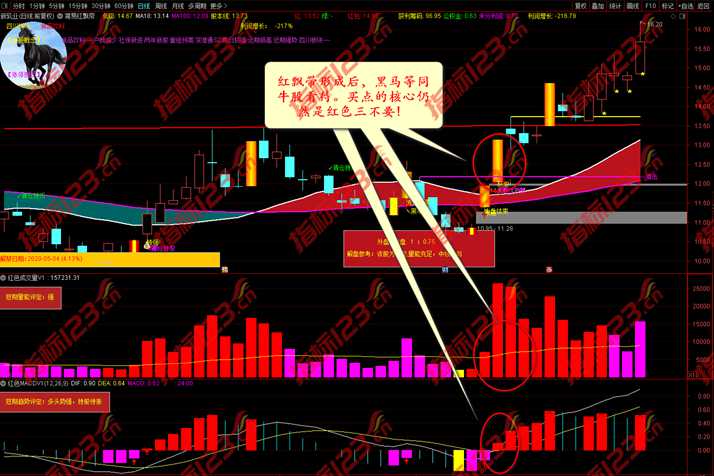 红色三不要指标案例截图3
