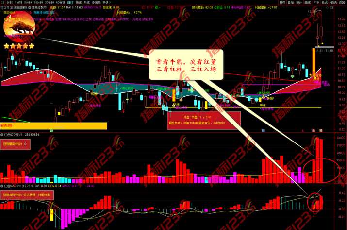 红色三不要指标案例截图4