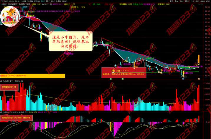 红色三不要指标案例截图11
