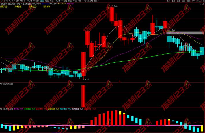 与庄共舞指标案例截图2