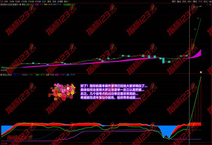 财经上涨点指标案例截图21