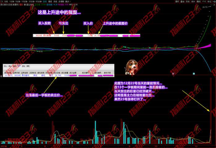 通达信潜龙伏虎凤表龙姿13