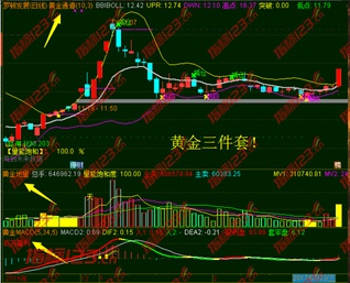 通达信黄金通道主图指标3