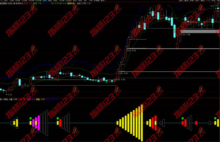 小黄鱼指标案例截图1