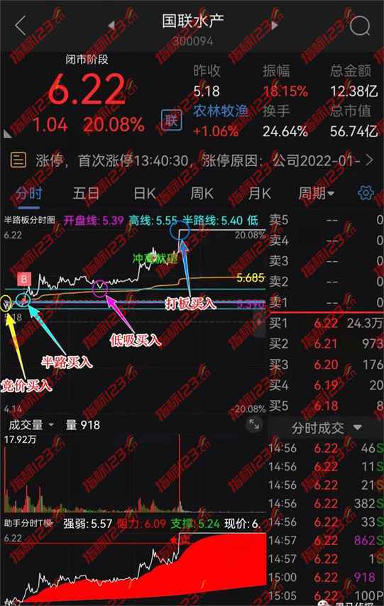 通达信《黑马半路板8》竞价选股指标，15秒选出强势首板！
