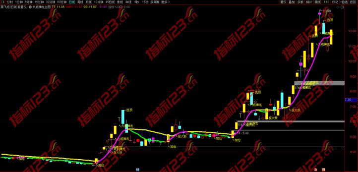 通达信八戒神龙主图指标5