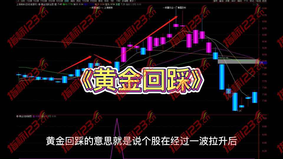 通达信《黄金回踩》主图+副图+选股预警指标公式源码