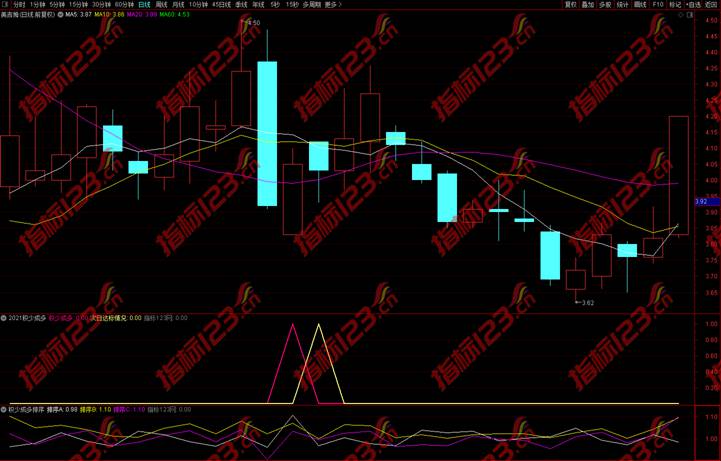 2021积少成多指标