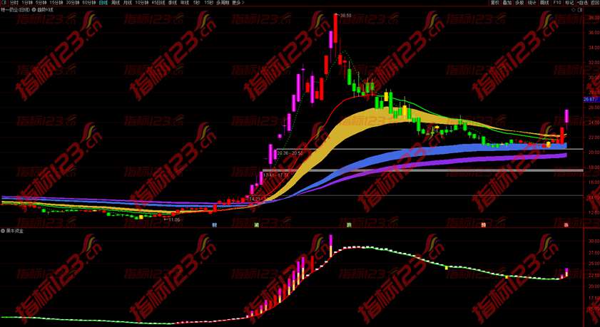 通达信黑牛资金副图