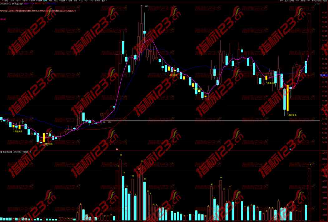 通达信《数字成交量》副图指标公式源码