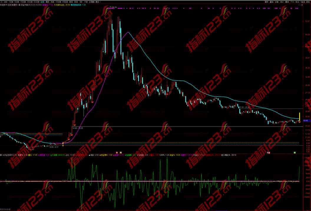 通达信资金密码竞价排序副图指标公式源码