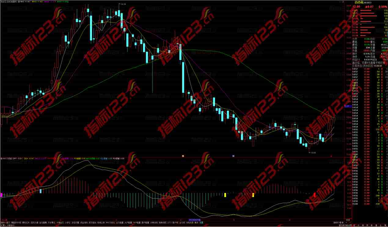通达信MACD顶底背离副图指标公式源码