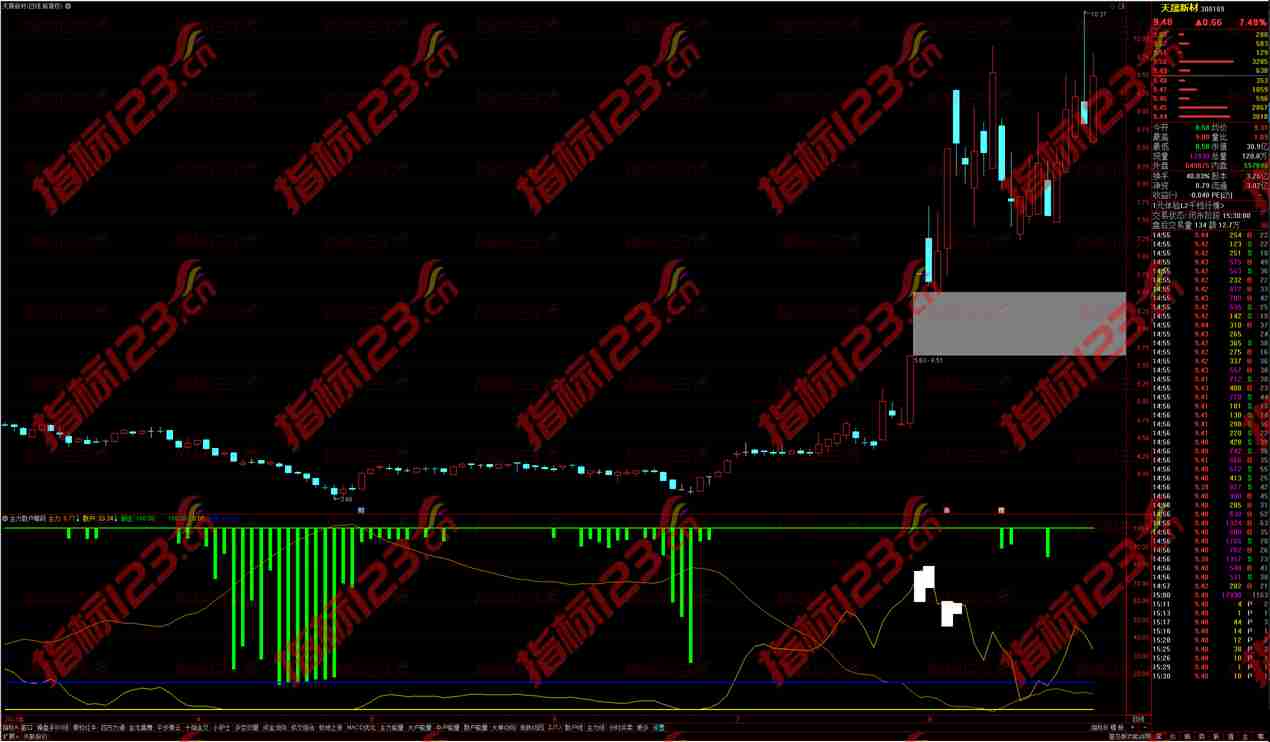 【通达信主力散户筹码副图指标】——揭秘资金动向，把握市场风云！
