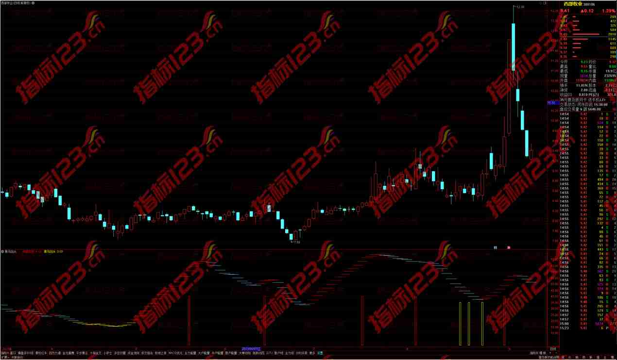 通达信黑马回头副图指标：原创黑马交易策略，捕捉反转瞬间的盈利机会