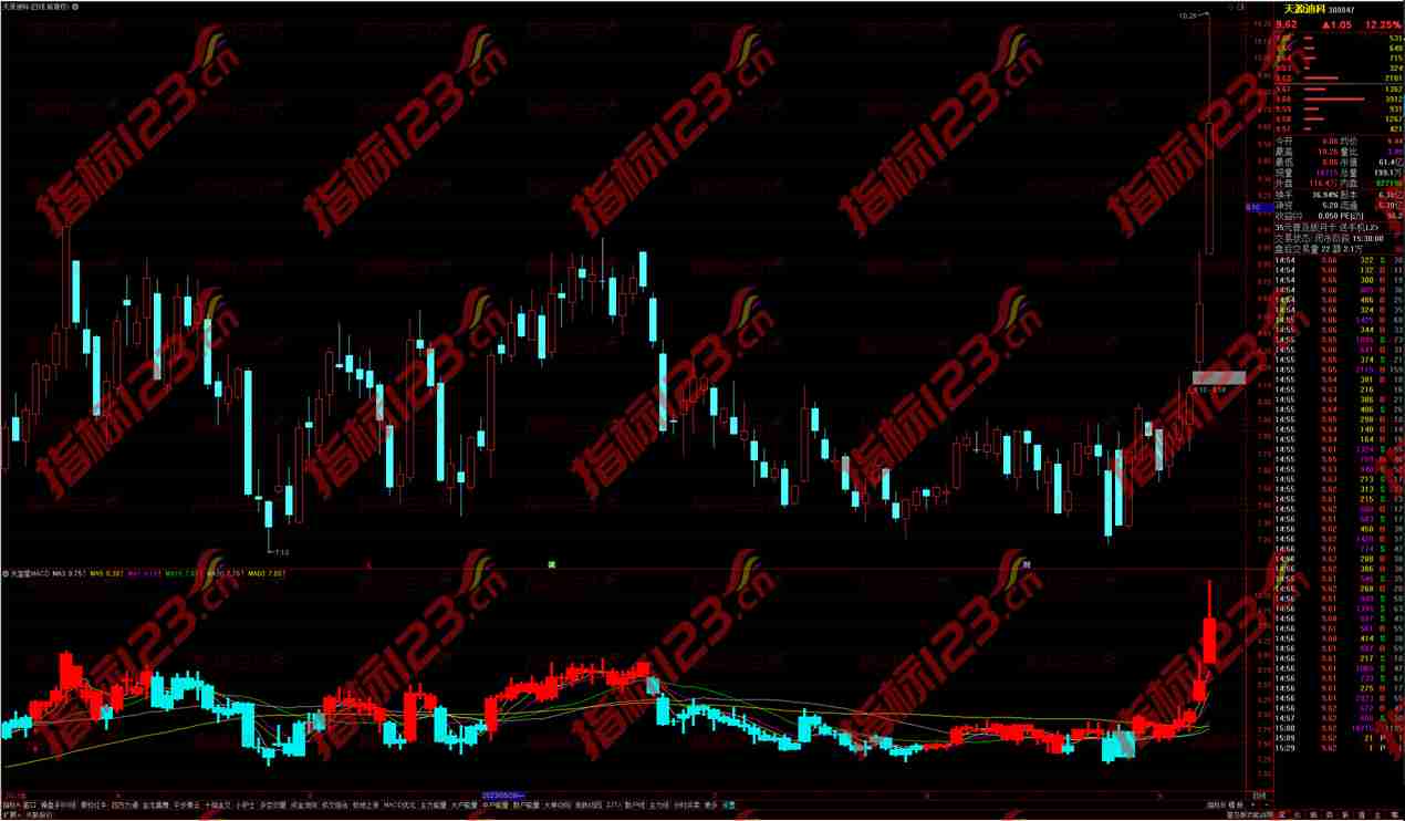 通达信天堂星MACD实战K线副图指标——投资利器，决胜千里之外