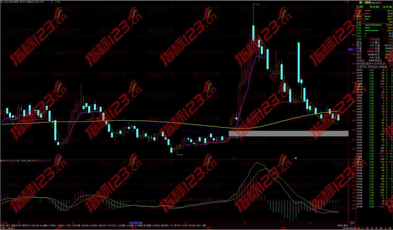 通达信MACD叠加K线主图指标：股市策略的新里程
