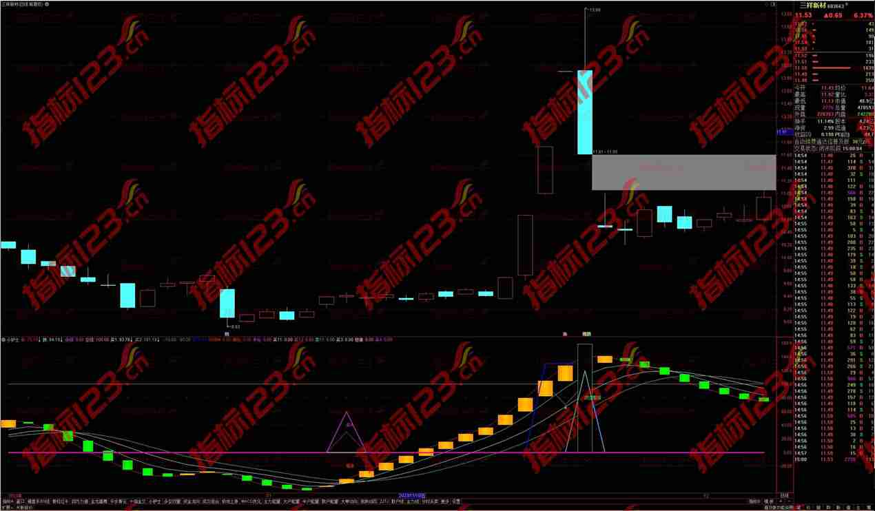 2024全新版通达信《小护士》副图指标公式源码：金融市场的贴心小助手