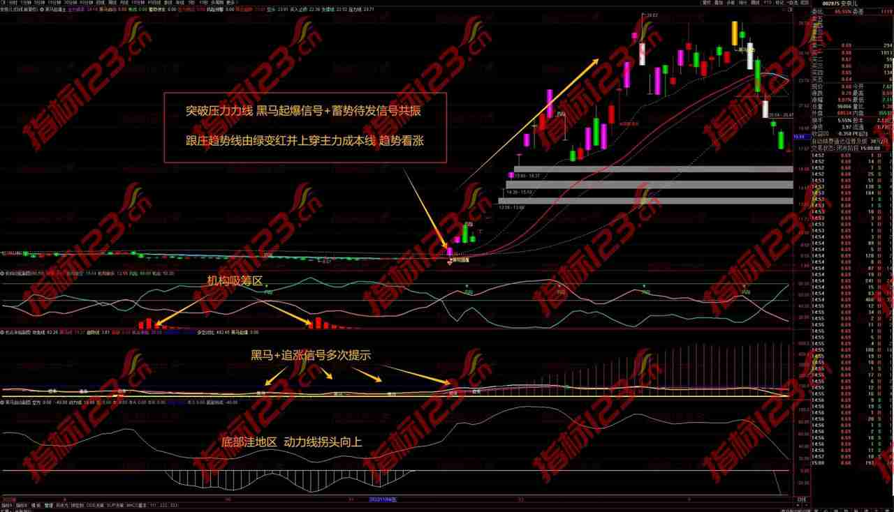 通达信《黑马起爆》主幅图全套指标：探寻股市黑马的神秘信号