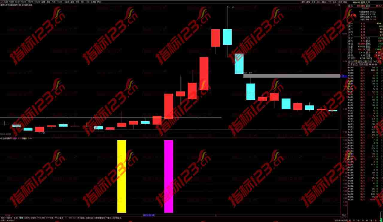 通达信《主力猎龙》主副图指标：捕捉市场脉络的利器